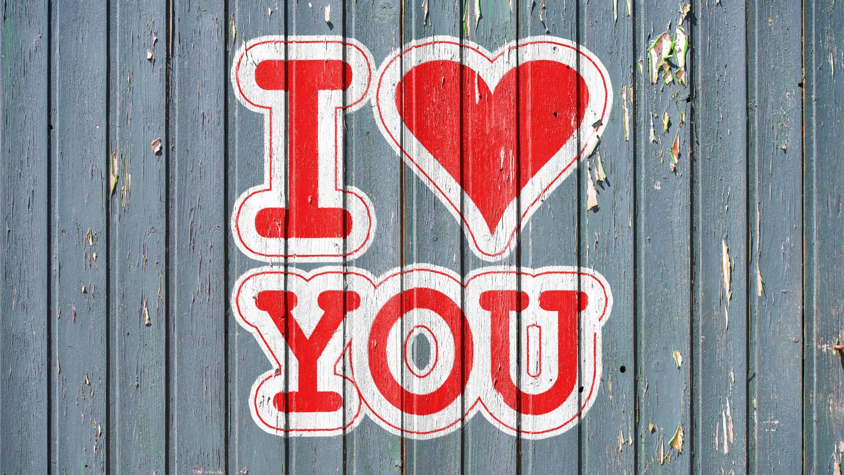 Did you Get Enough Love my Little Dove - The Benefits of Love - My Garden And Patio