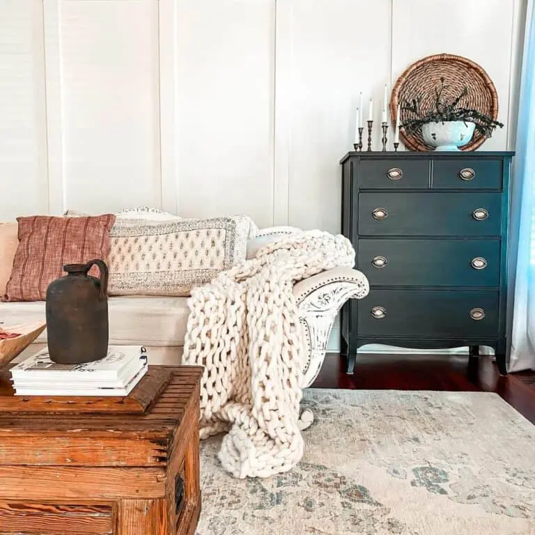 7+ Inspiring Black Décor Styling Ideas for Farmhouse Living Rooms