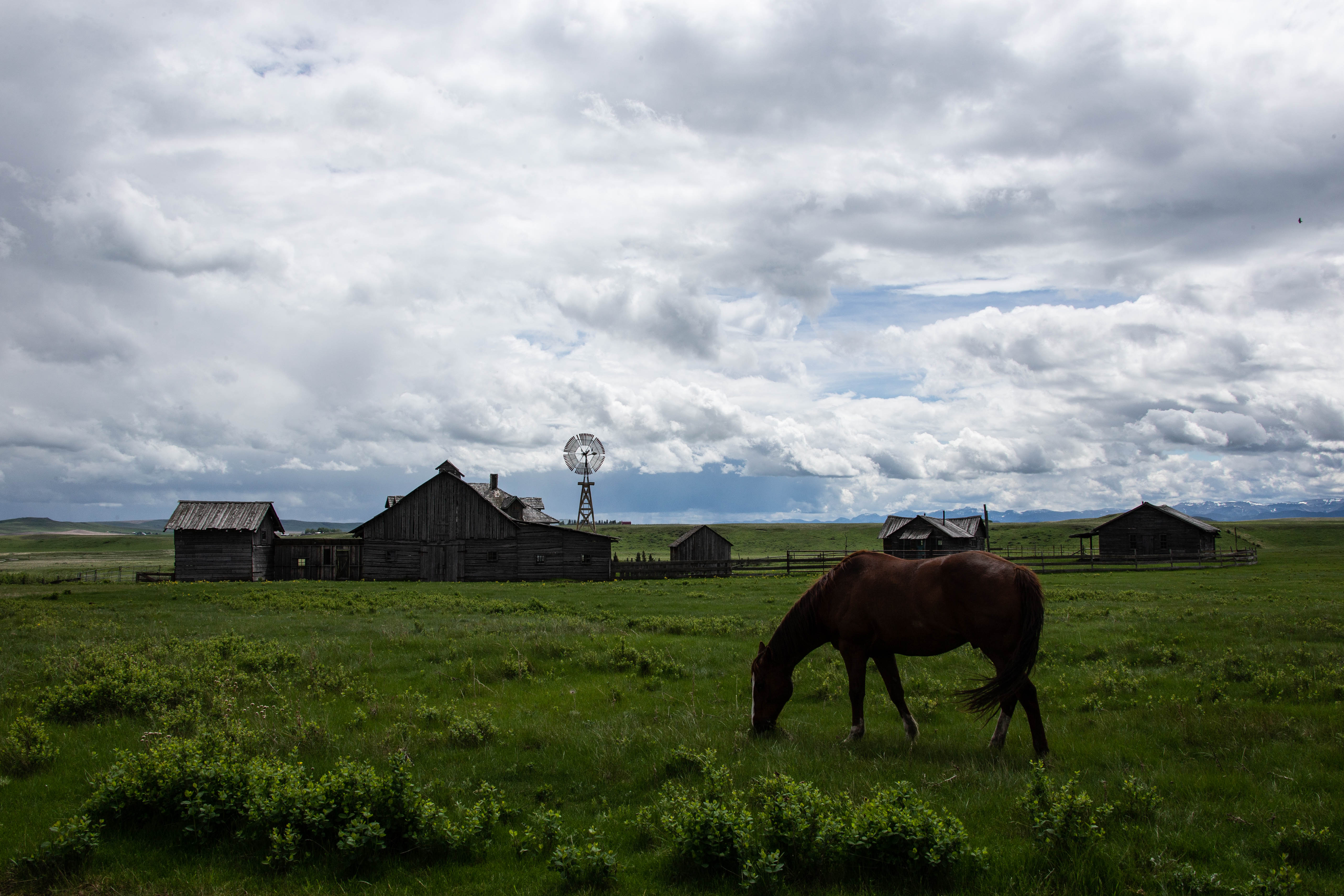 Nadine Levin Photography | Western