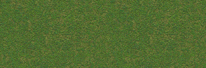 High quality grass texture seamless - densense