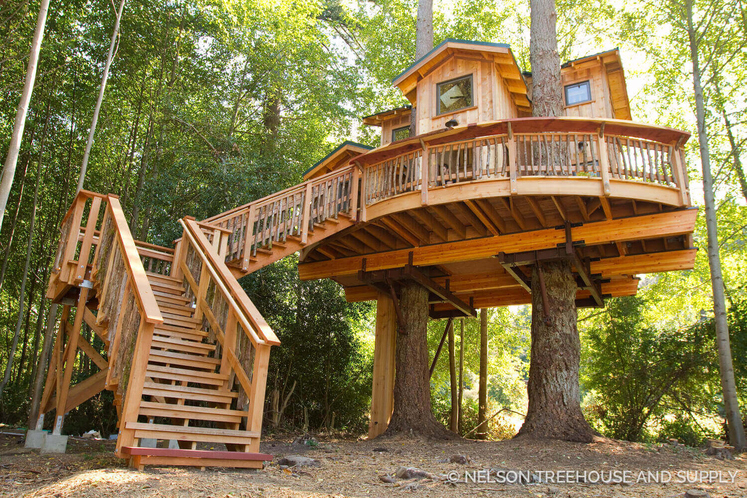 Summertime Treehouse Time-lapse On Orcas Island - Nelson Treehouse