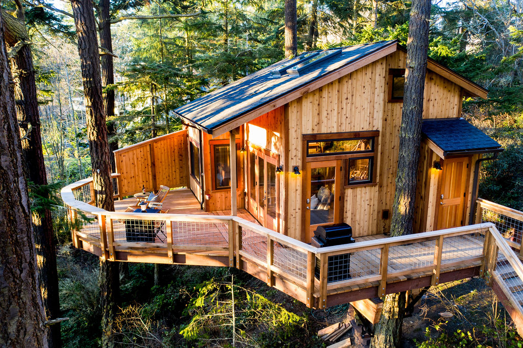 Blog - Nelson Treehouse