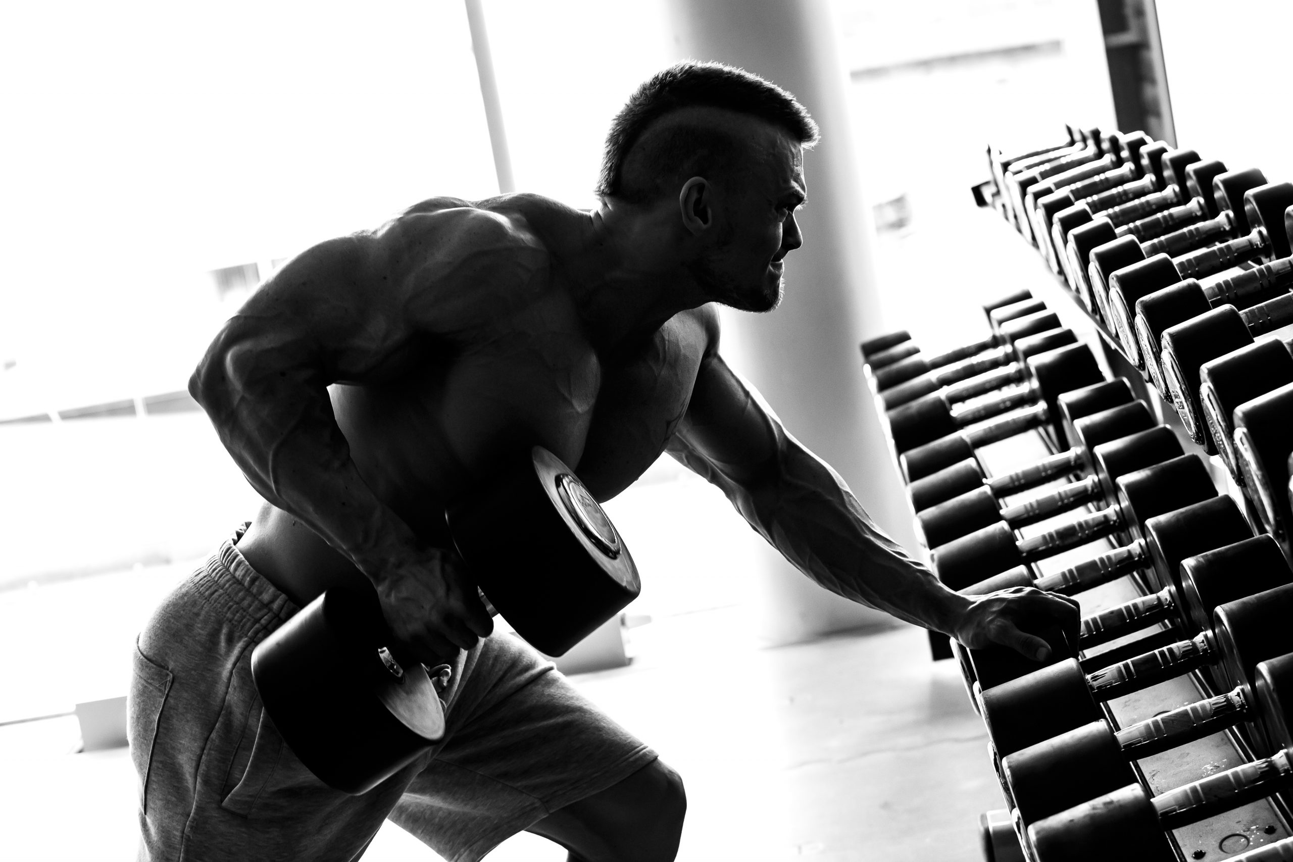 Além Do Treino: Programação Fitness Em Todas As áreas - New Millen