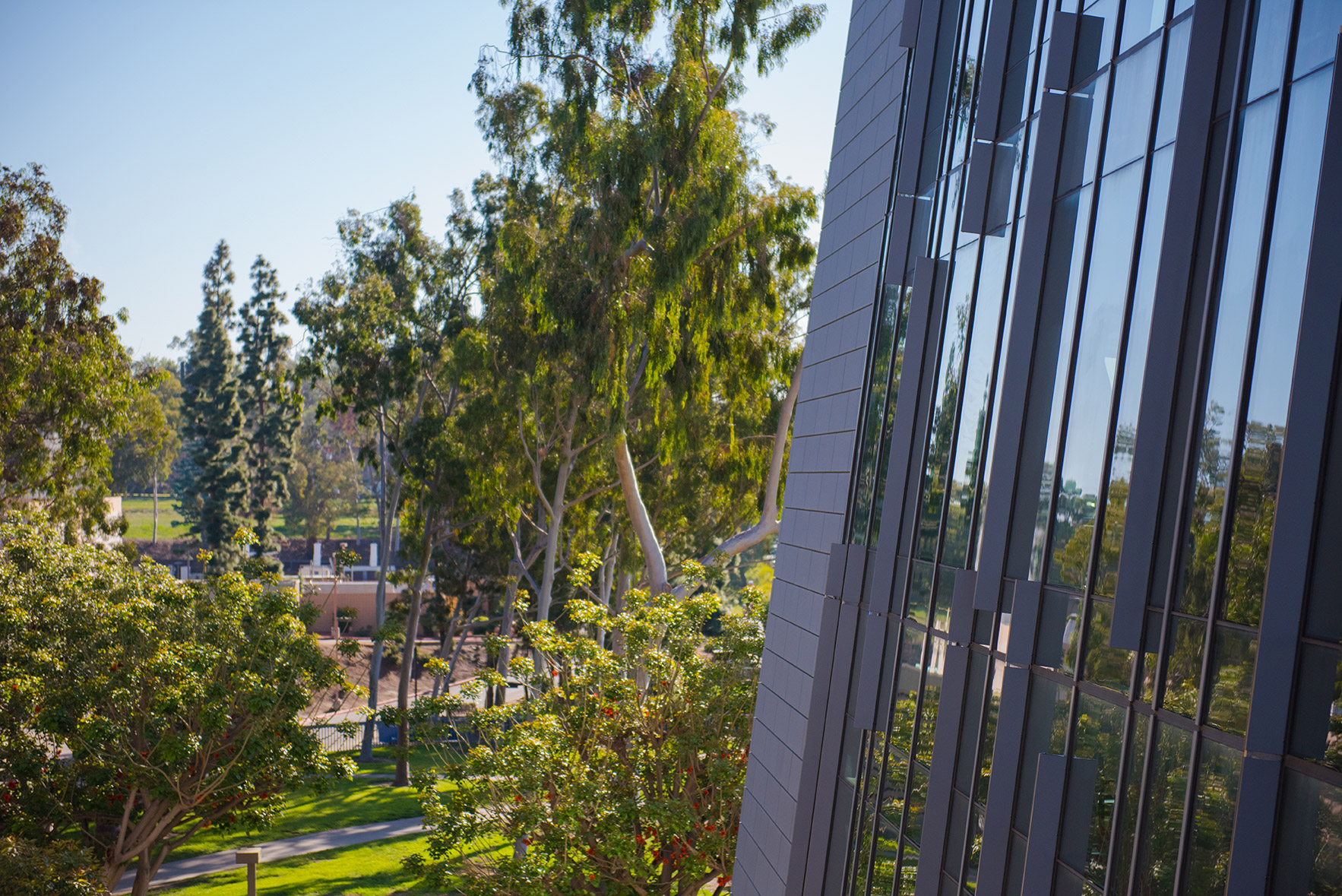 Campus Photos – CSUDH News