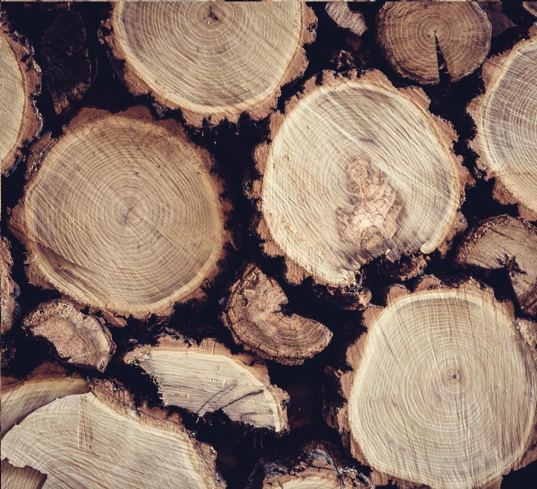 Nicolemnart.com - The Best Wood From Europe