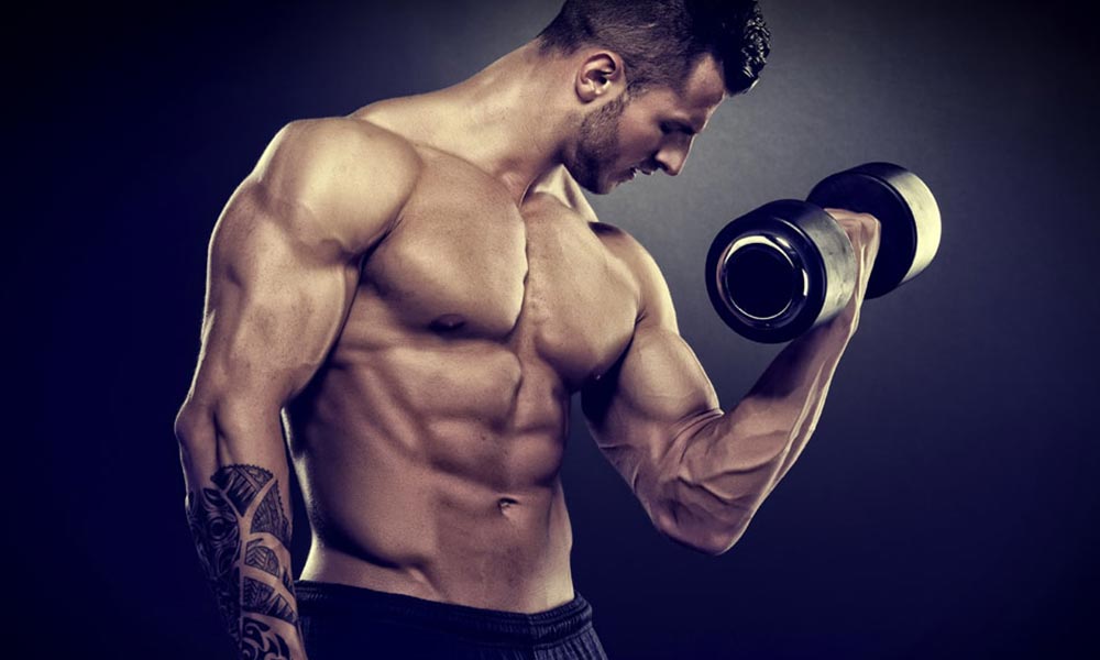 Musculacion