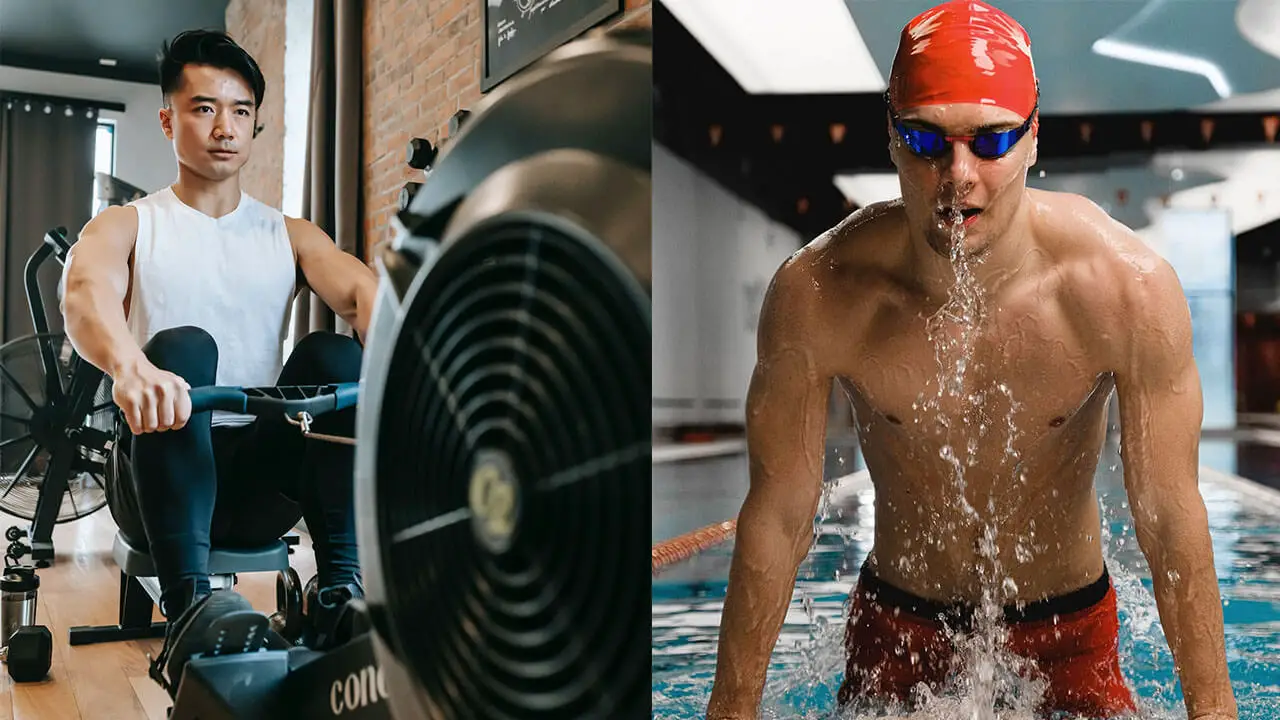 Rower Body Vs Swimmers Body