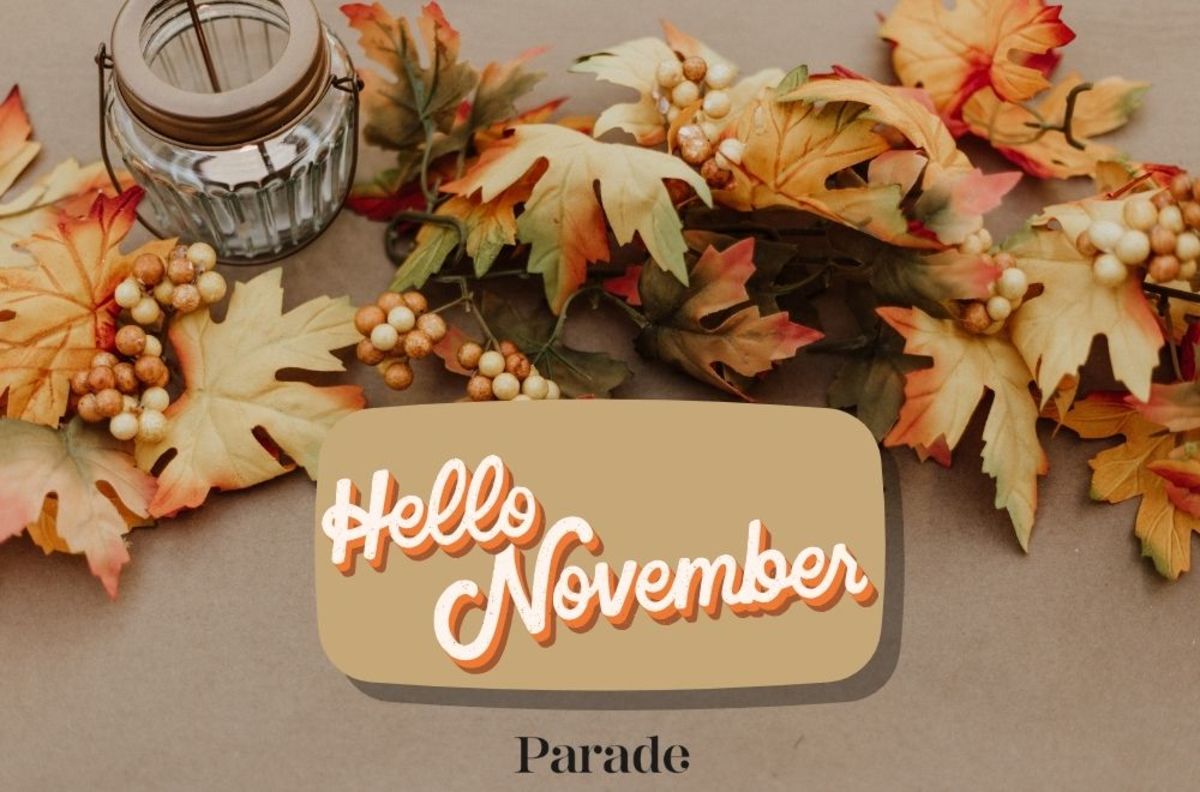 November Holidays, Observances 2024: Daily, Weekly, Monthly - Parade
