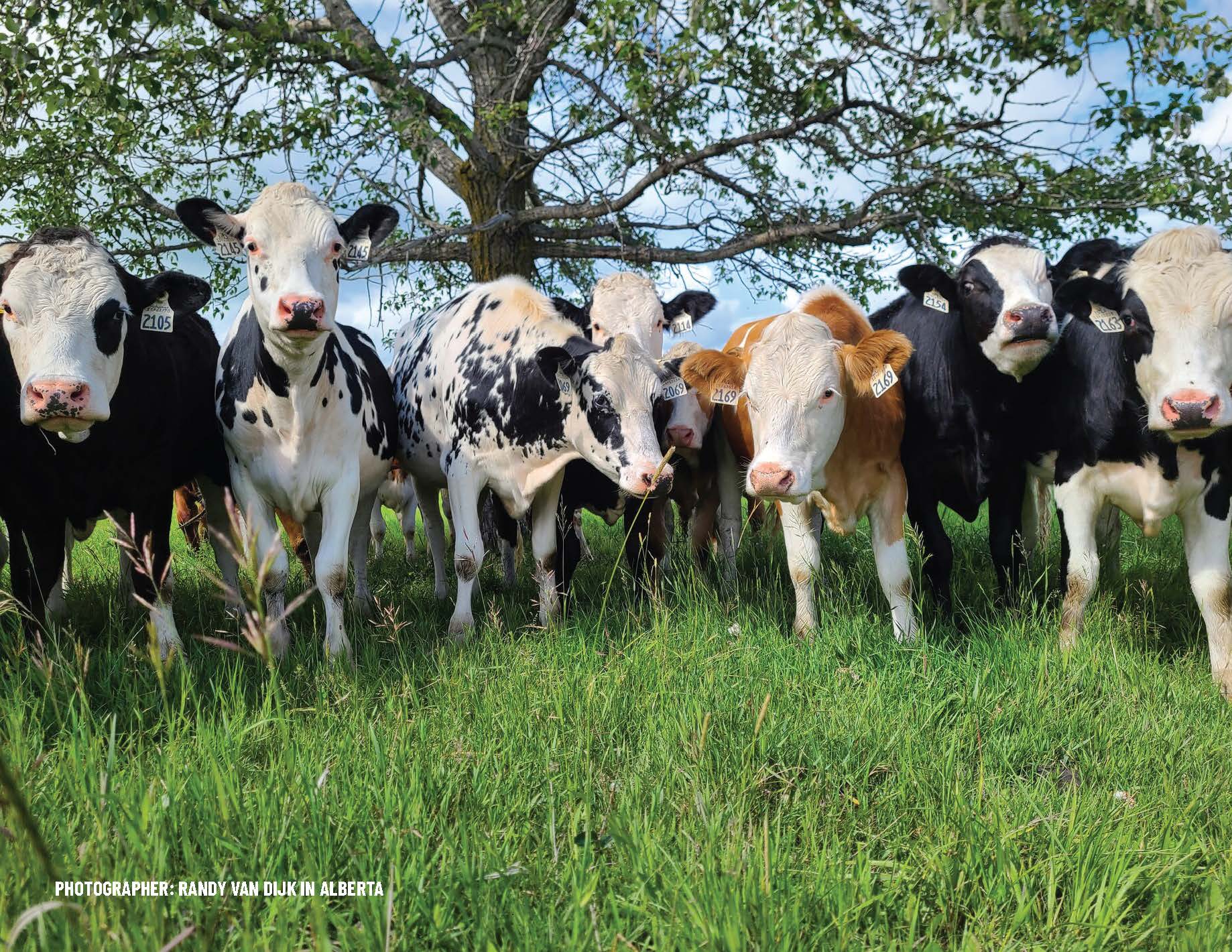 2022 Penner Farm Services Photo Contest Winners! | Penner Farm Services