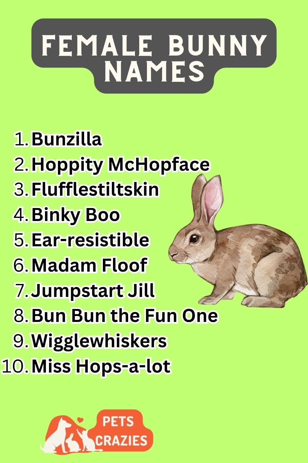 175+ Female Bunny Names - Cute & Unique Choices