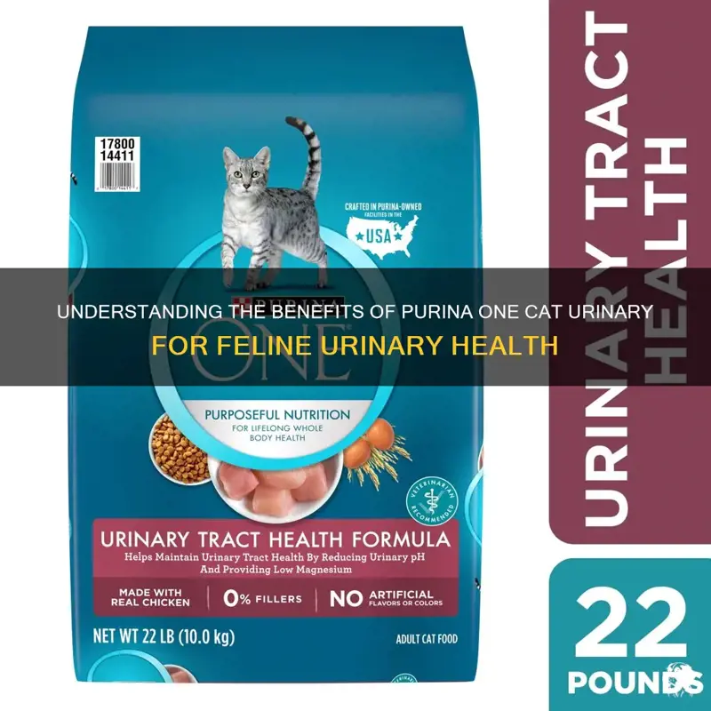 Understanding The Benefits Of Purina One Cat Urinary For Feline Urinary Health| PetShun