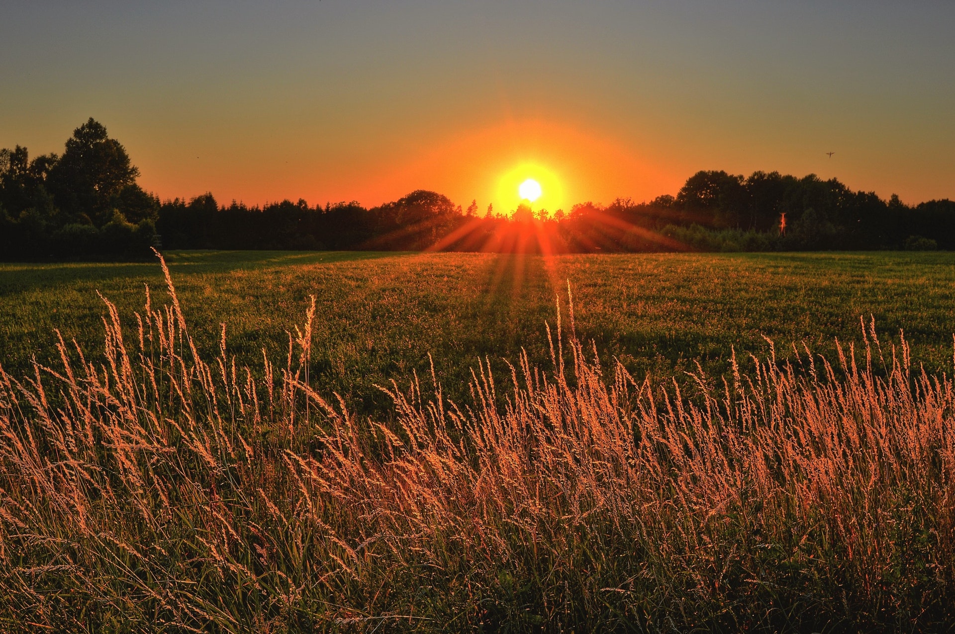 Day To Day Meaning: 10 Paths To Building Life Purpose - PFMIpro