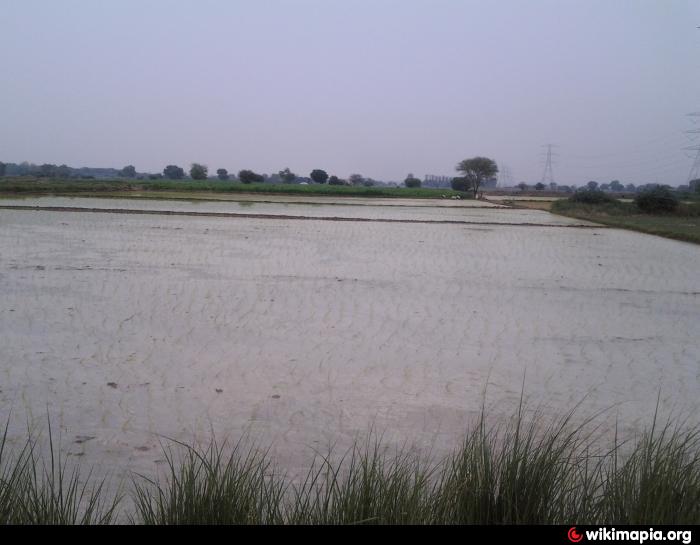 Dahiya Farm House
