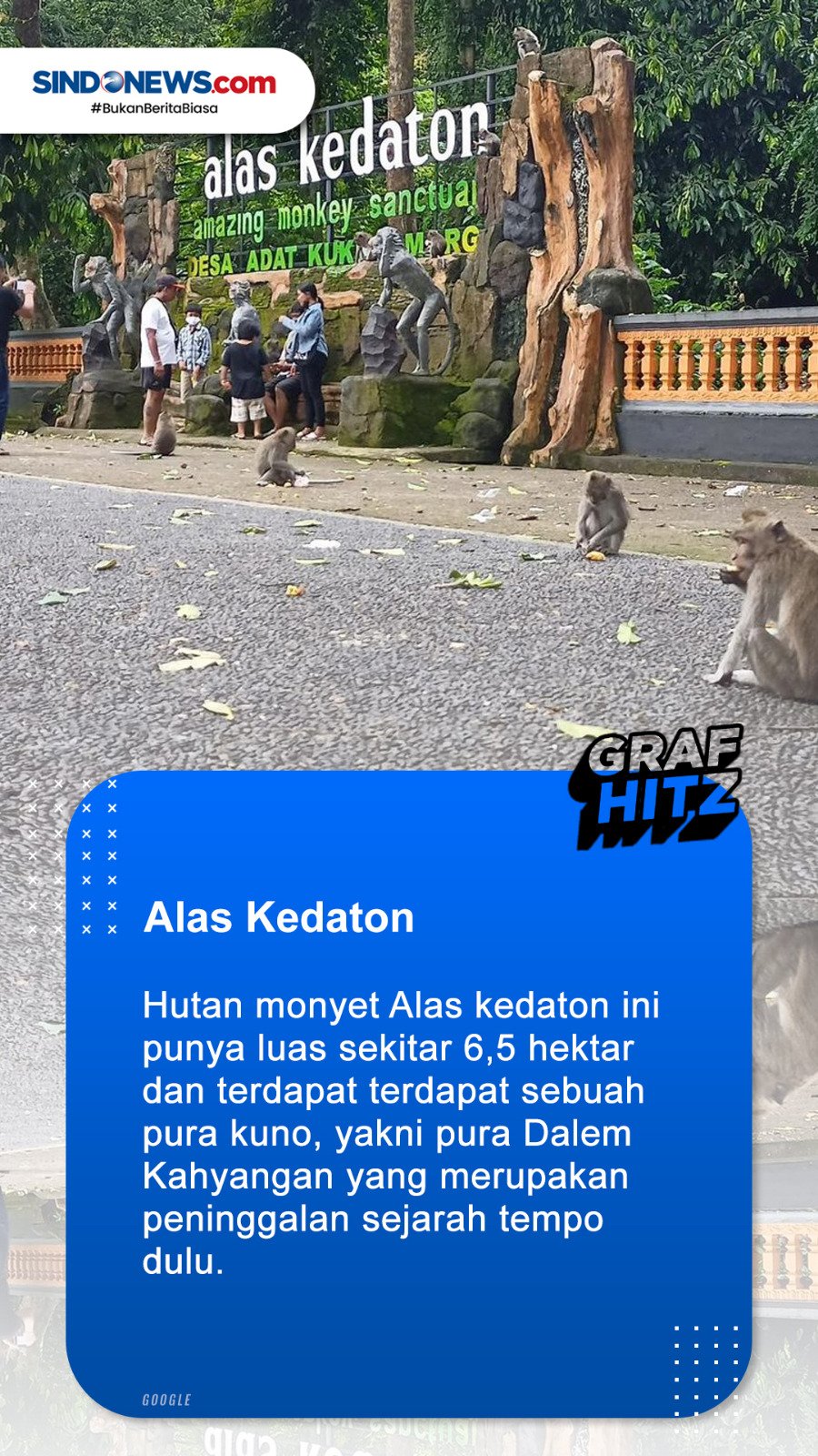 SINDOgrafis: Mengenal Tiga Tempat Wisata Di Bali Yang Banyak Kera