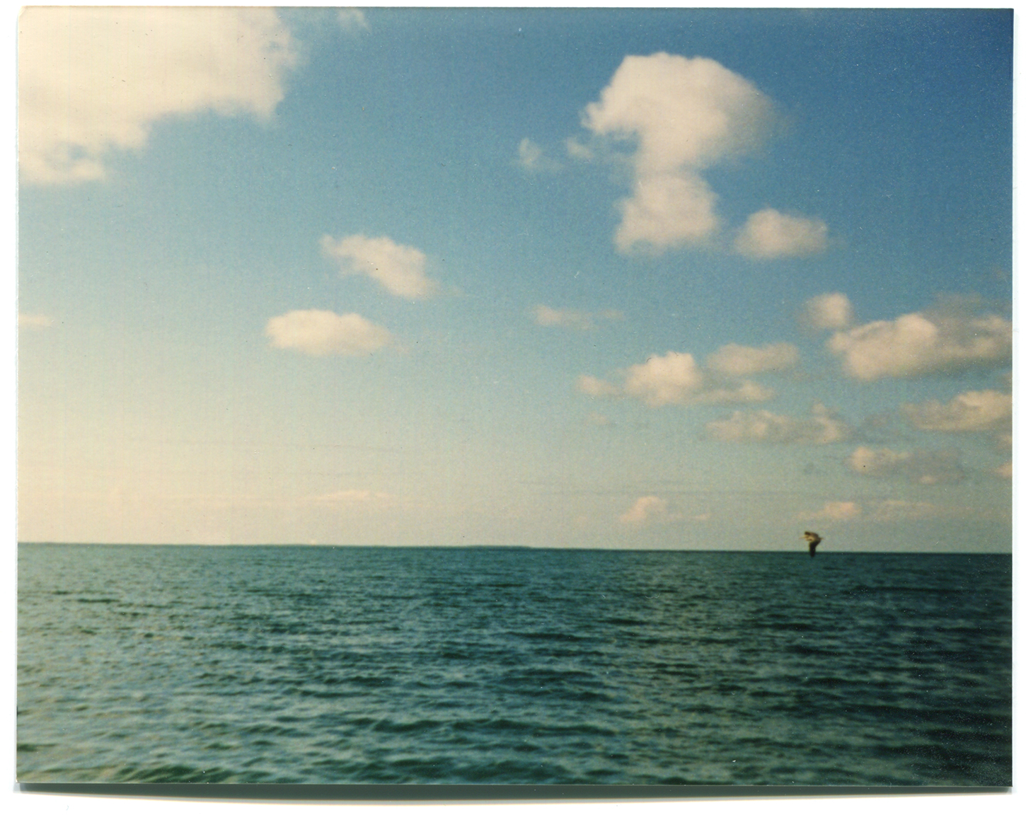 Something On Horizon — Piper Haywood