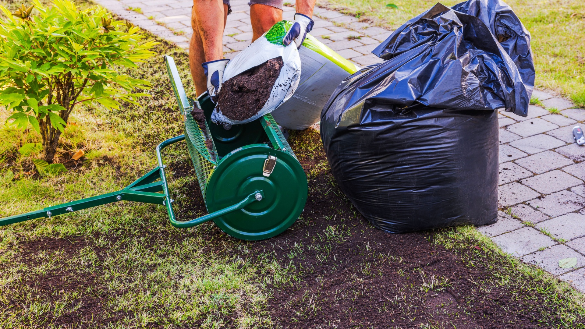Gardening Mistakes You Might Be Making In Georgia This August