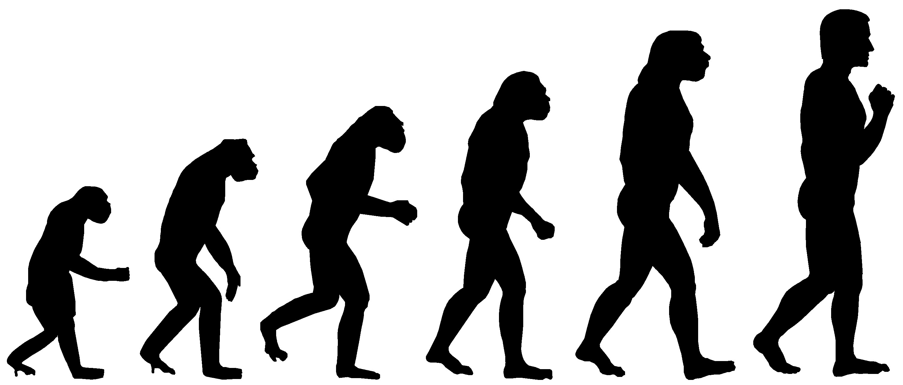 How does Evolution Work? – Dinosaurs Made Easy