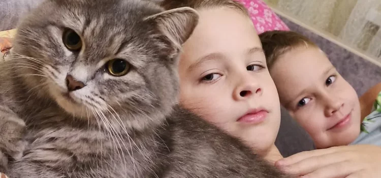 8 Tips and Techniques the Art of Training Kittens