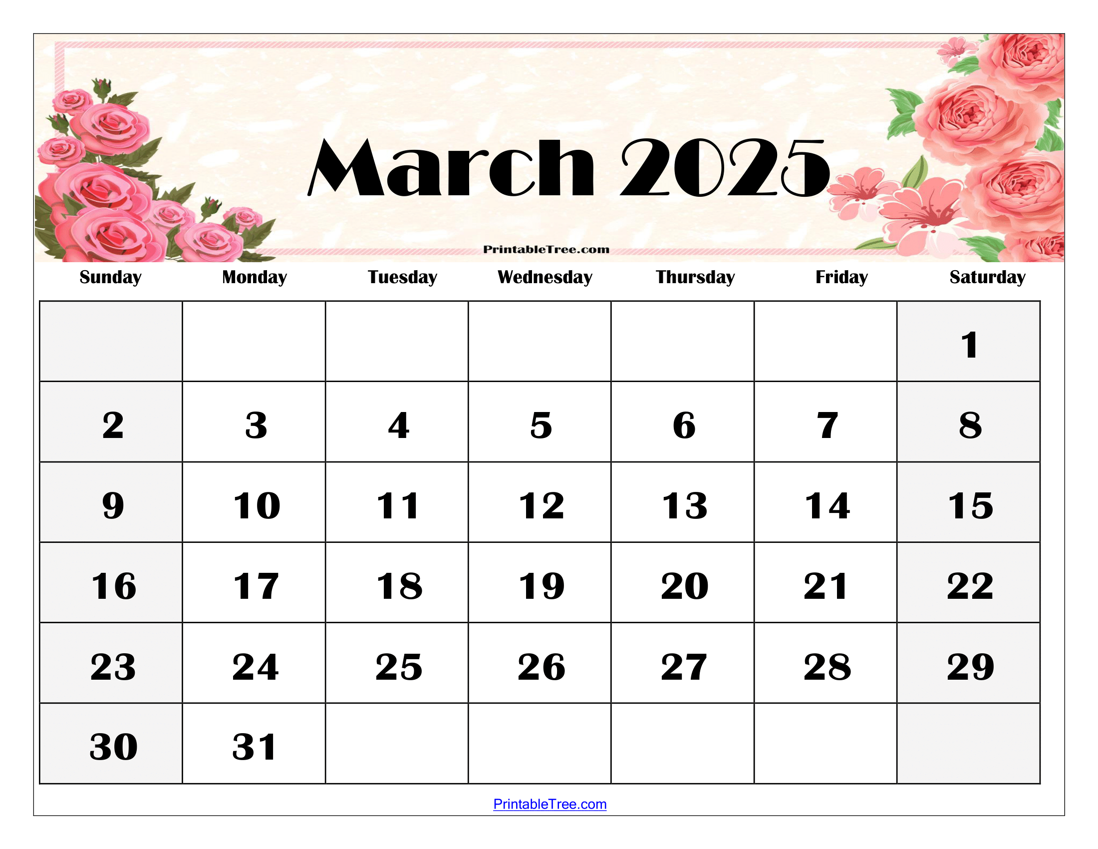 2025 Blank Calendar 2025 Printable
