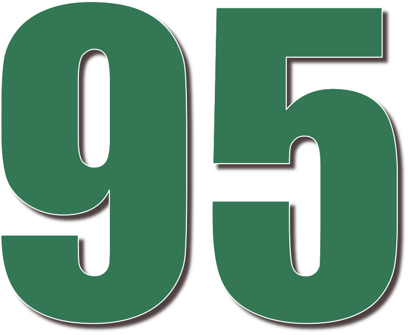О числе 95 – девяносто пять, математические свойства, перевод, склонение и факты. Про числа