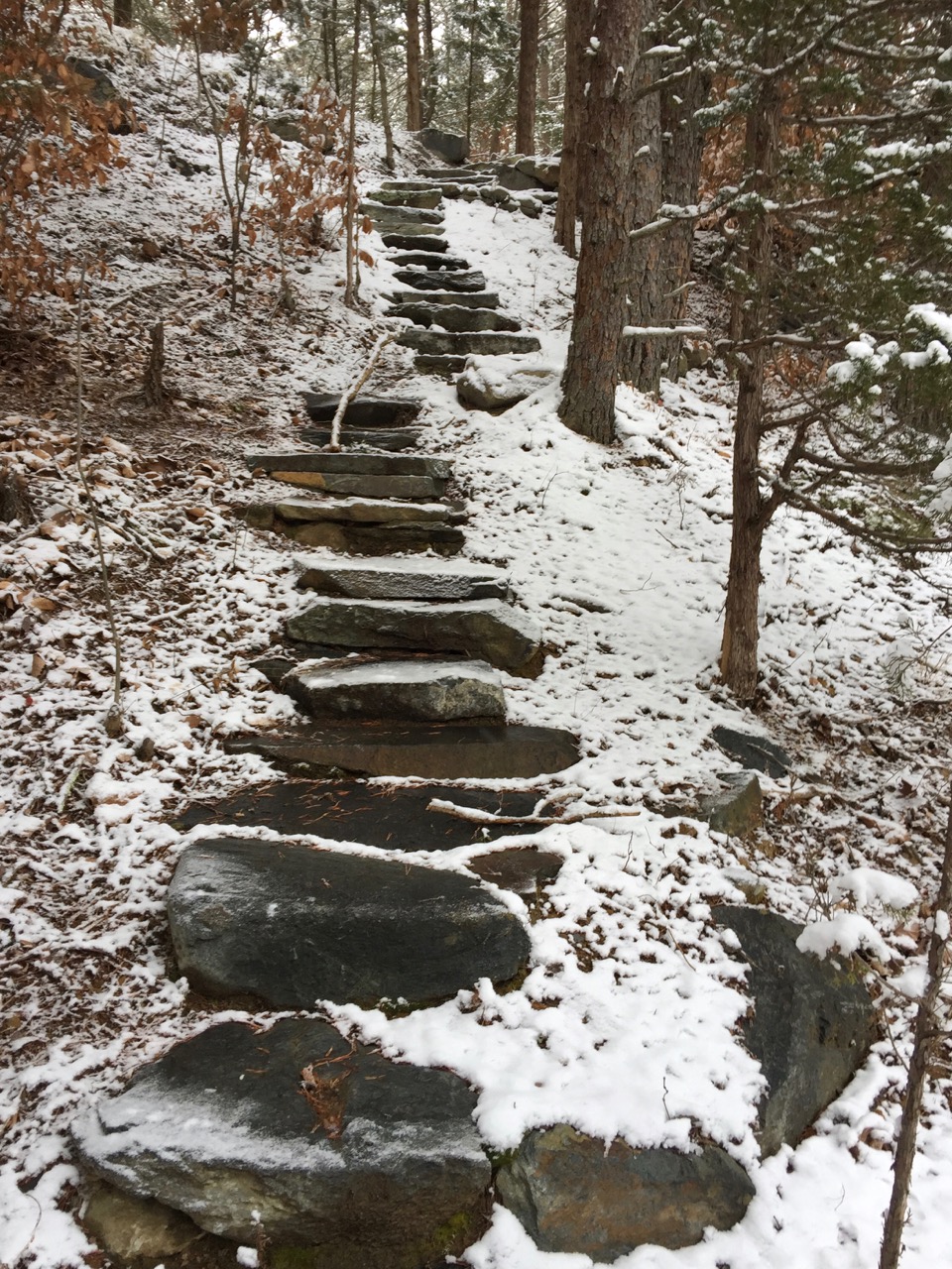 Snowy Definition | The Quarry Gardens