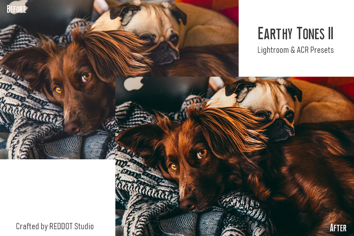 Earty Tones II – reddot-studio.com