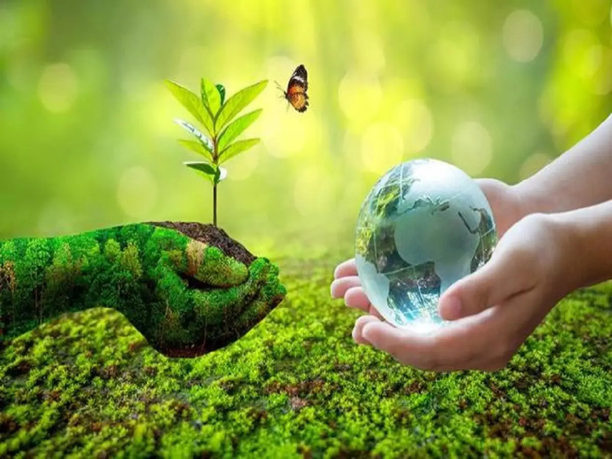 7 Ways To Become More Environmentally Friendly