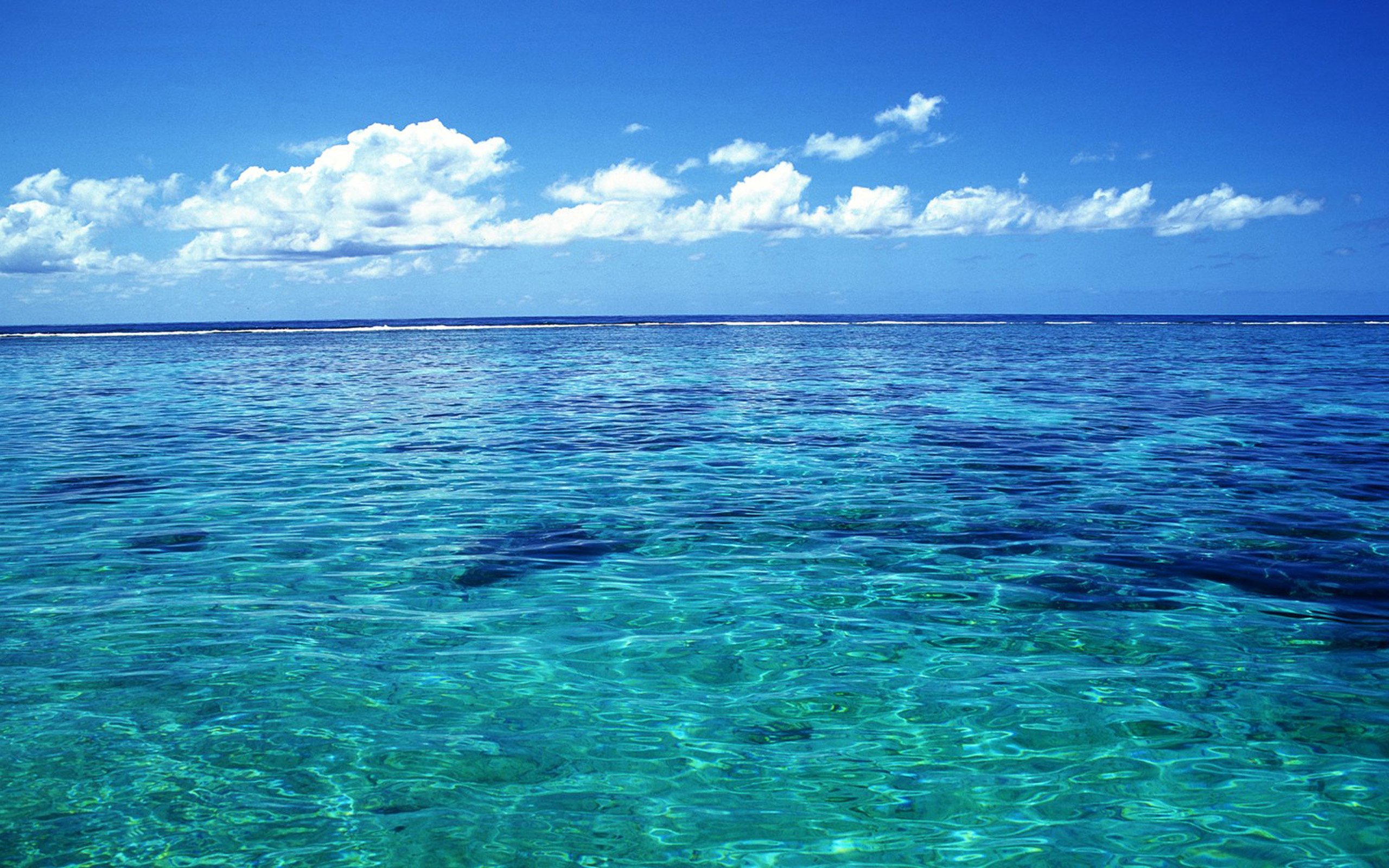 Ocean microbiome key to understanding environmental changes, says UGA researcher - UGA Research News