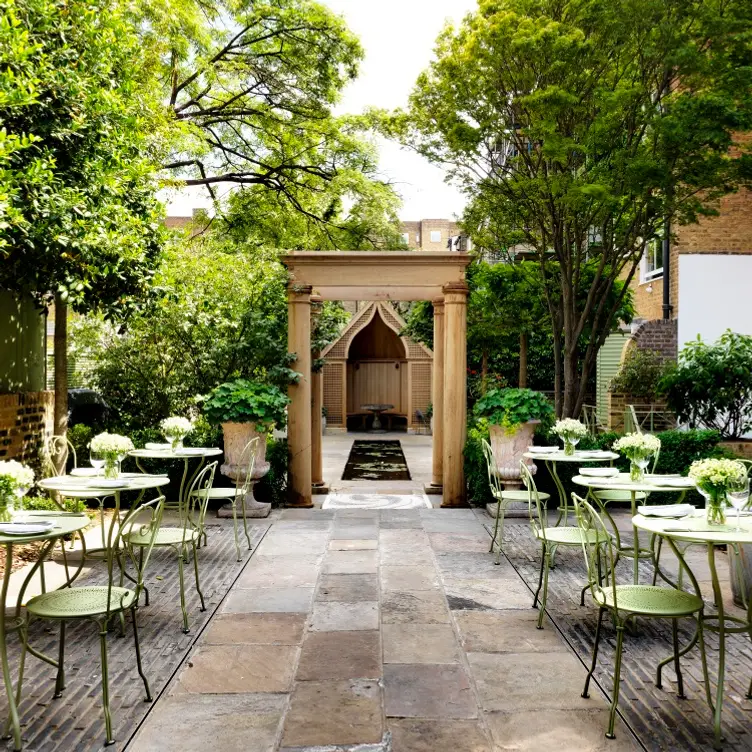 The Orangery at Number Sixteen Hotel Restaurant - London | OpenTable