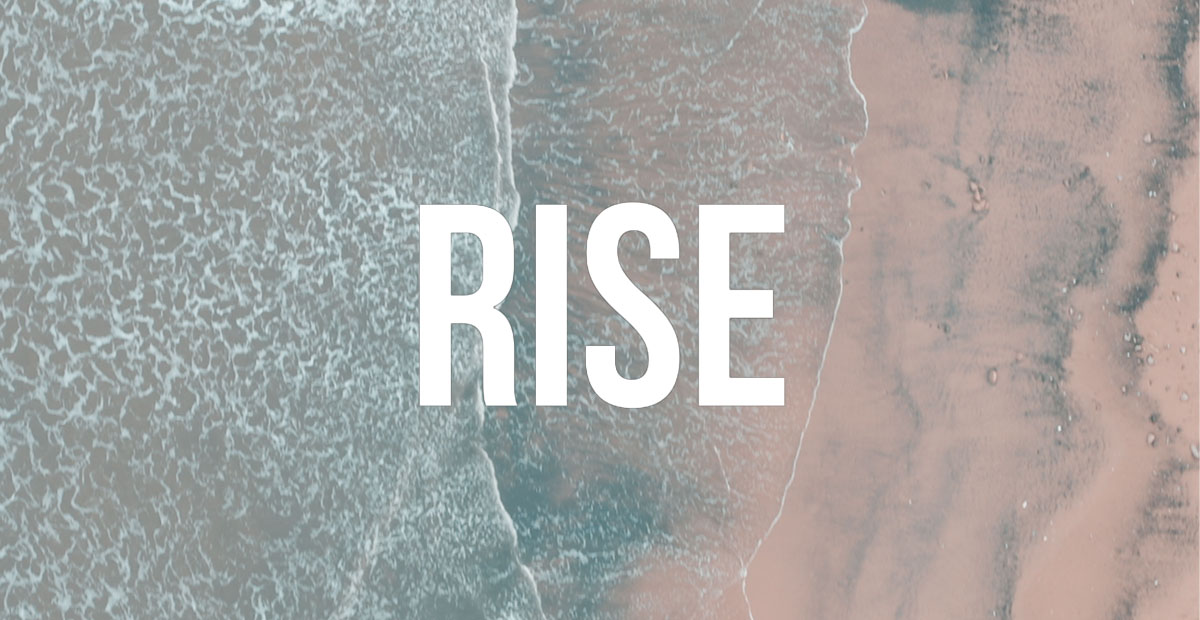 Digital Marketing Support - RISE Digital Tees Valley