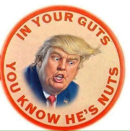 Progressive Charlestown: Is Donald Trump nuts?, continued
