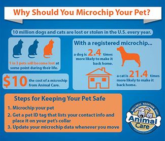 9 best images about Importance of Pet Microchips on Pinterest
