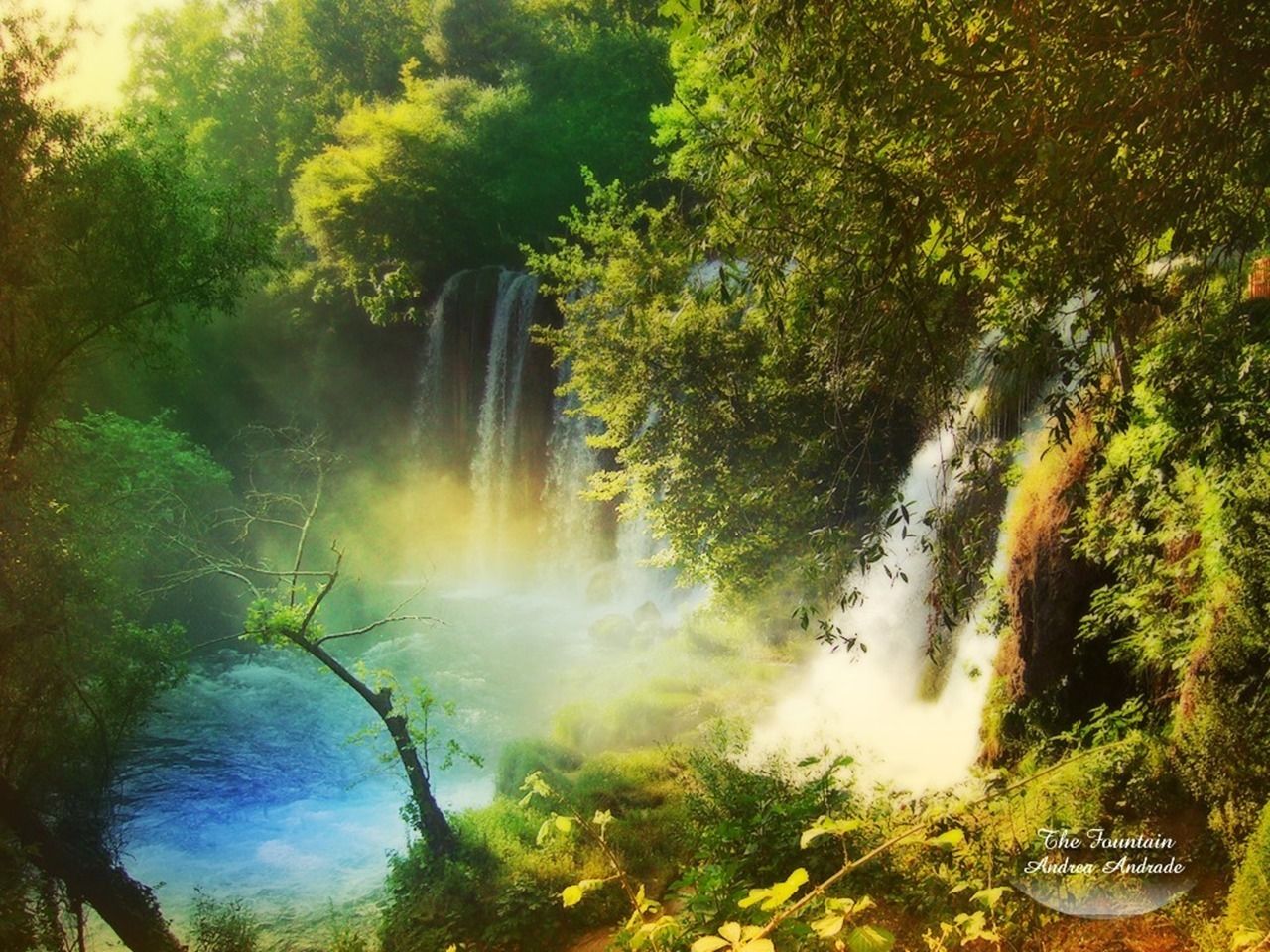 Amazing Photos Of World: Amazing Pictures of Nature And Bridges | Scenes that relax me ...