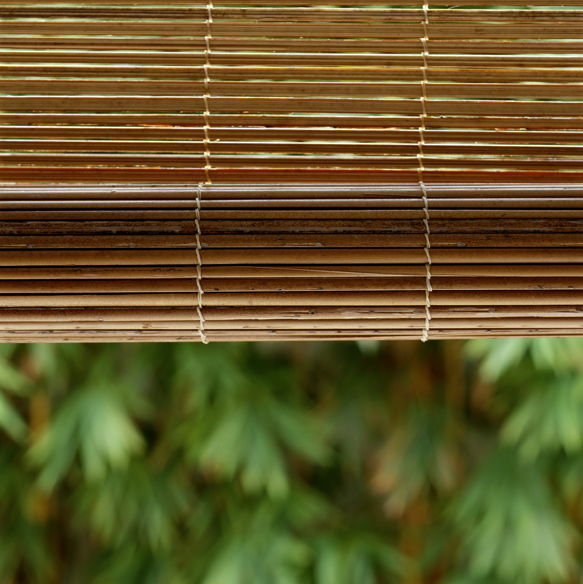 How To Choose Shades For A Window