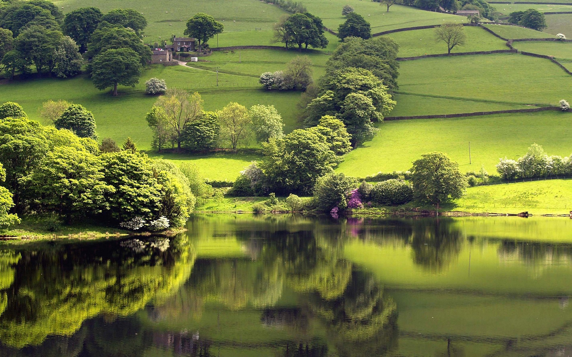 Beautiful Nature Wallpapers| Best Wallpapers