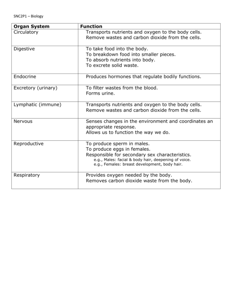 SNC2P_04_12b-systemsworksheet