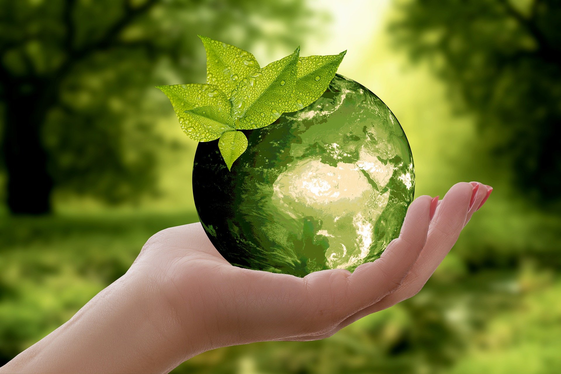 3 Easy Eco-Friendly Lifestyle Changes You Need To Make