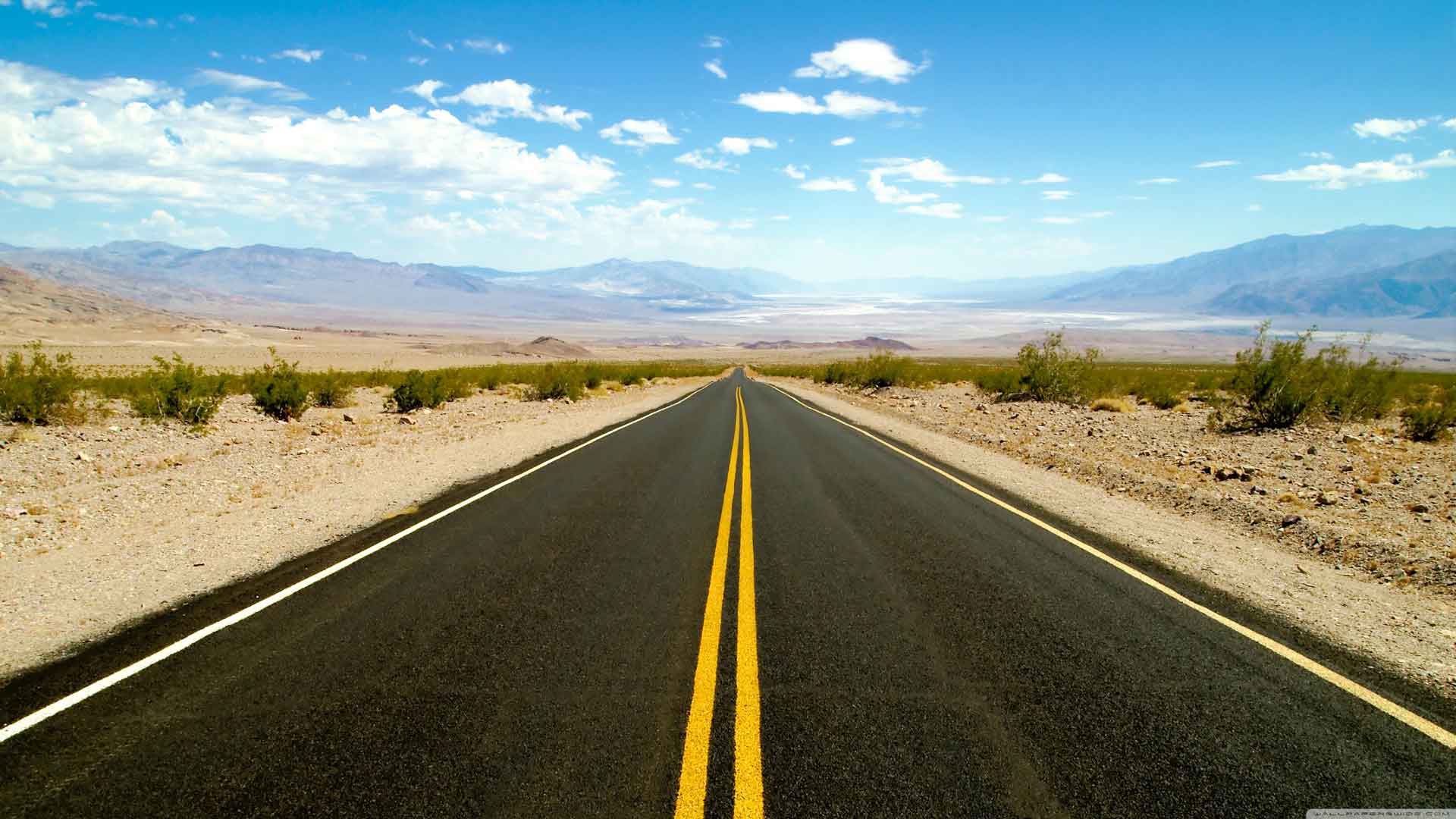 The Road Ahead: 2020 – The Science Of Parkinson&#39;s