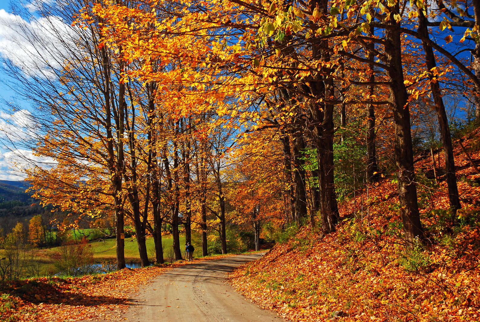 10 of the Top Destinations to See Fall Foliage in the Northeast, US | Select Registry