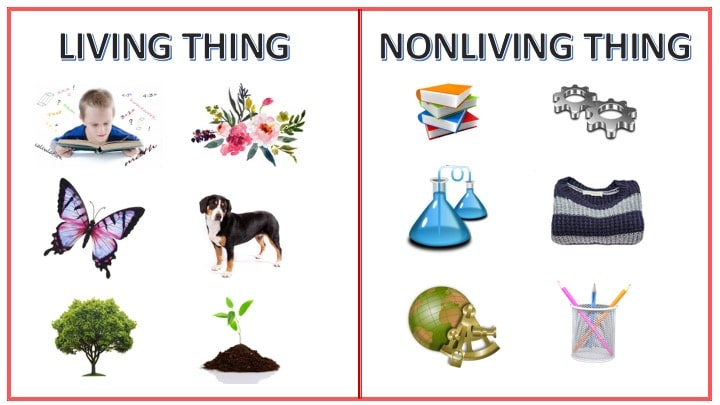 Living Things And Non Living Things Anchor Chart Malaysepe Images