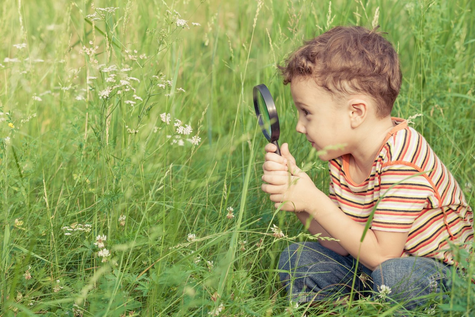 Happy Little Boy Exploring Nature With Magnifying Glass - Sensory Stepping Stones