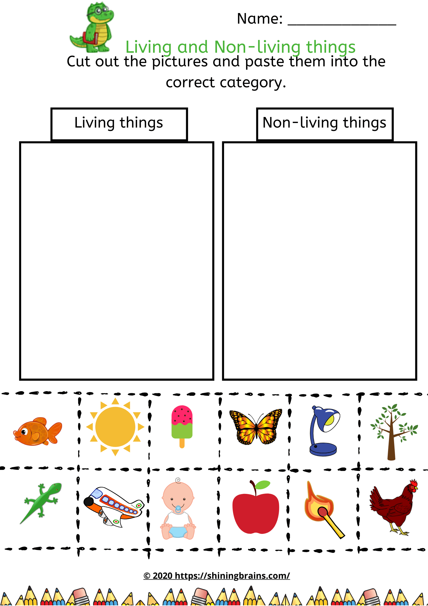 Living Things Non Living Things Worksheet