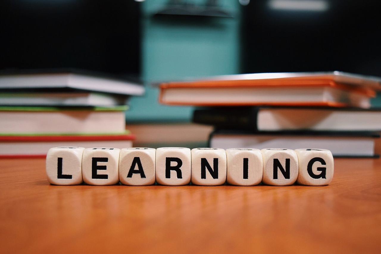 Student Perspective: Interdisciplinary Learning - SMARTS