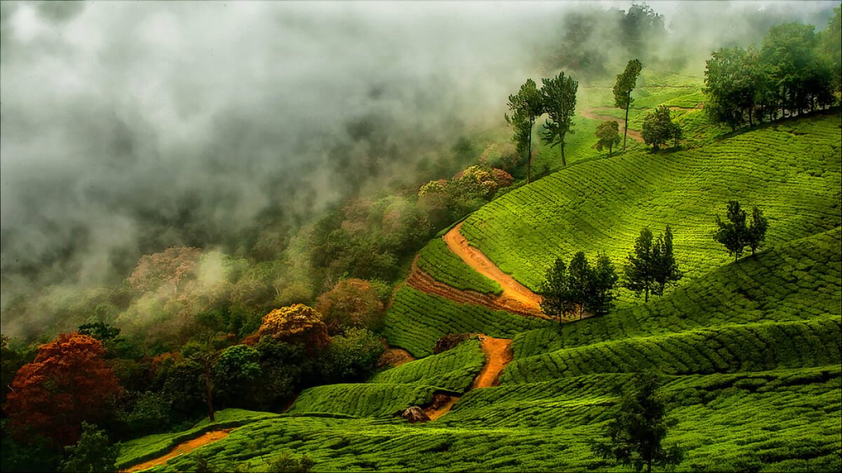 12 Amazing Tourist Places To Visit In Kerala (2023)