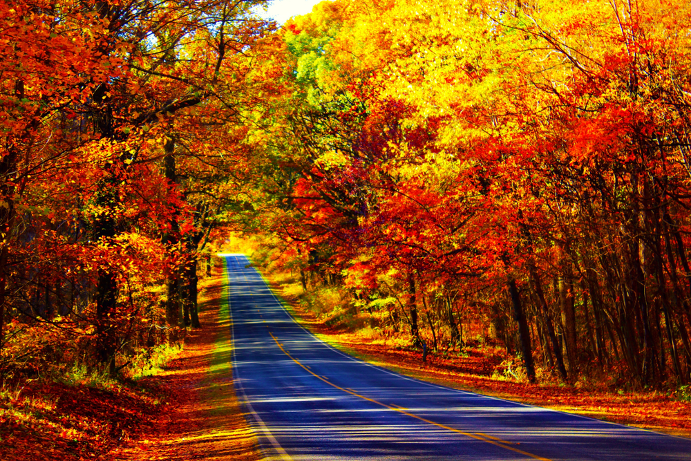 Fall