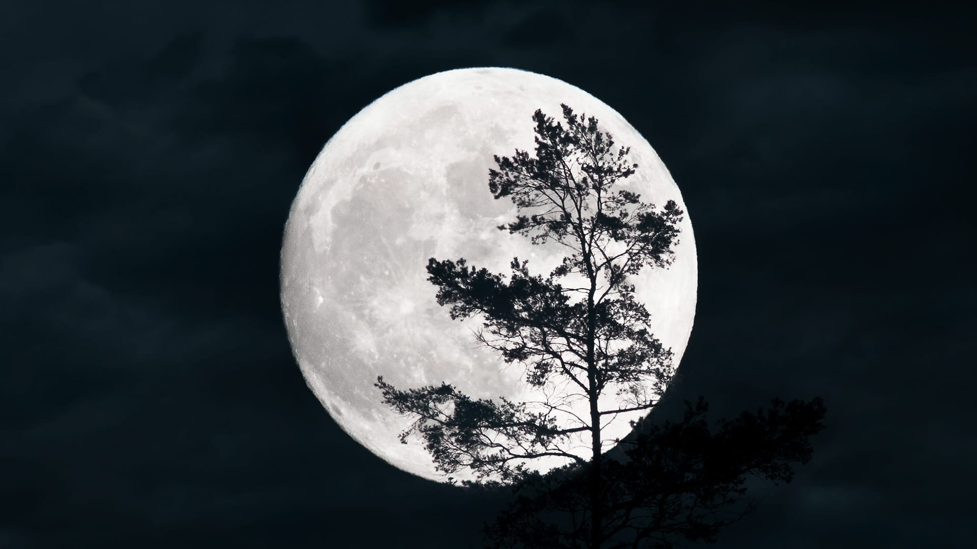 Full Moon February 2025 Nz Meaning - Mathew Rosier
