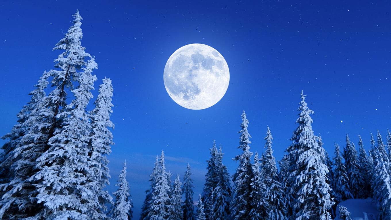 Full Moon February 2025 Australian Time - Jaimie Aridatha