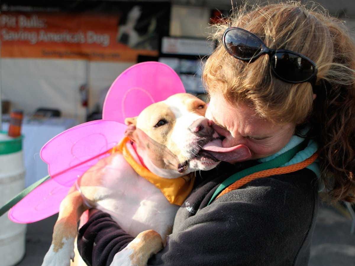9 Science-Backed Reasons to Own a Dog : ScienceAlert