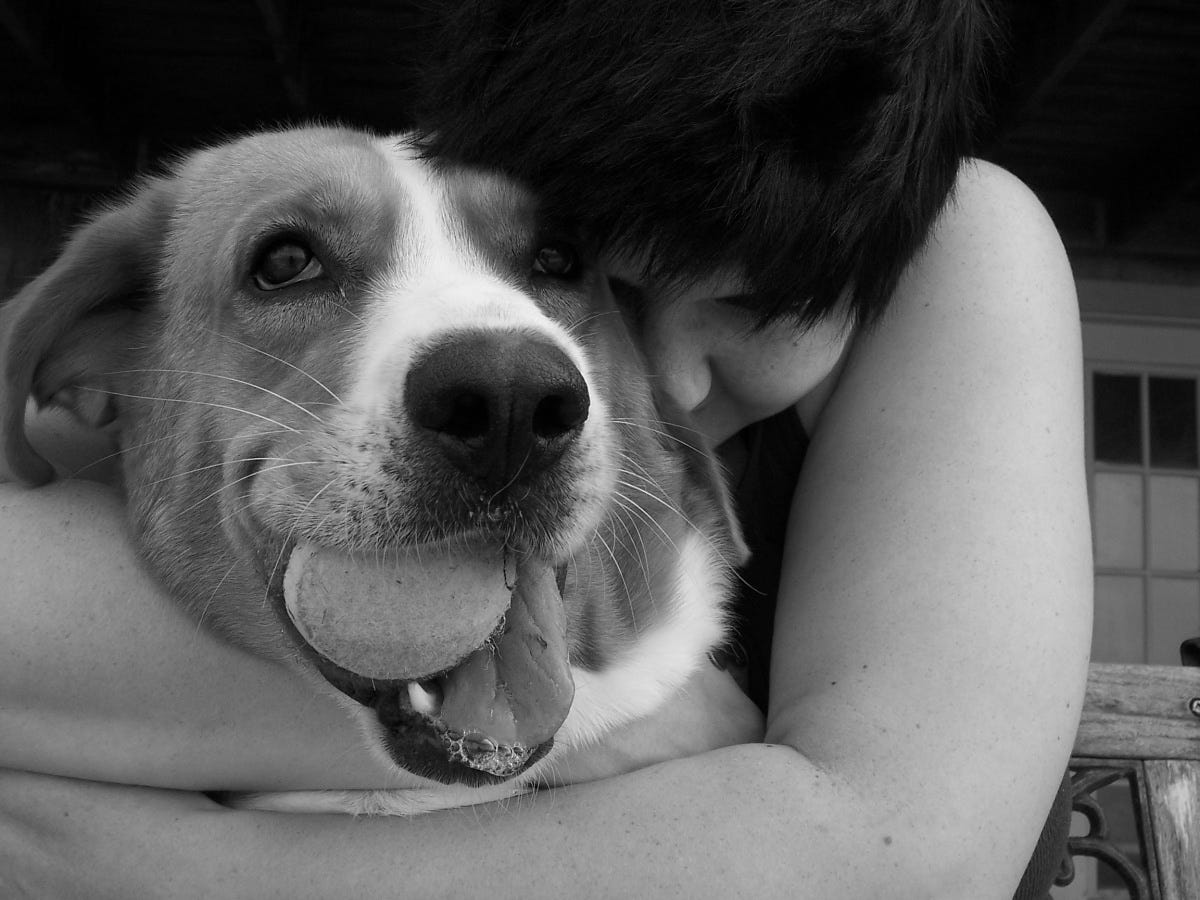 9 Science-Backed Reasons to Own a Dog : ScienceAlert