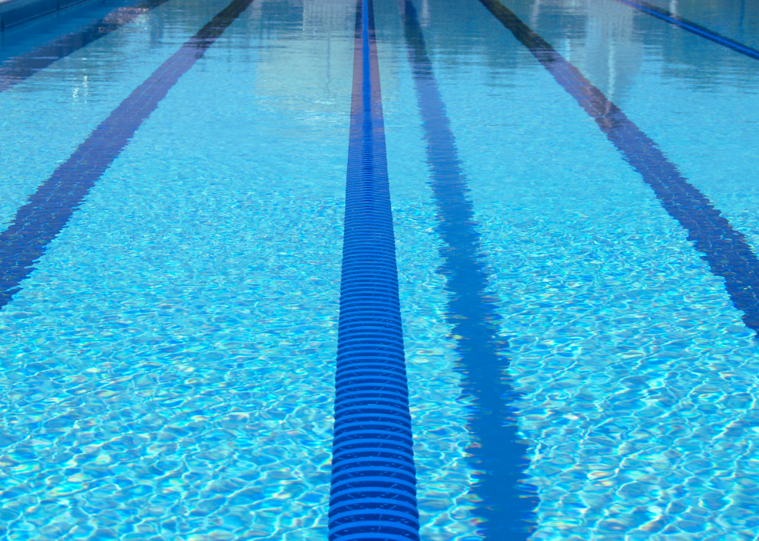 Highest-rated Swimming Pools Near Baltimore, According to Yelp | Stacker